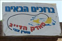 על נשים, דגיגים ופדיקור - בפארק הדיג במעיין צבי